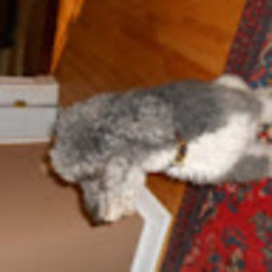 Meet your Posher, Liz